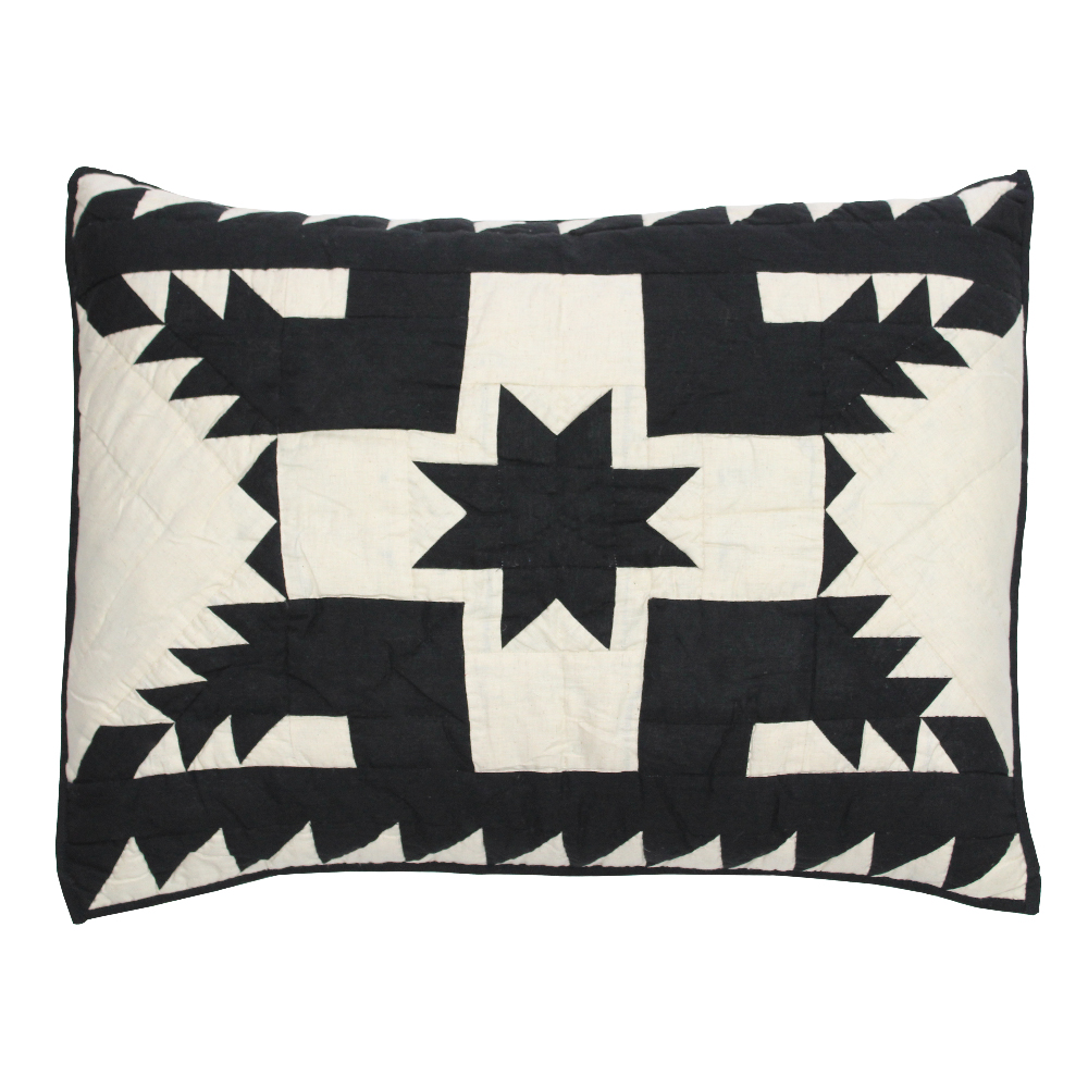 Coal Feathered Star king sham 31"w x 21"l